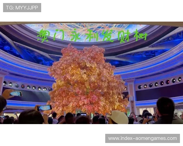 澳门永利皇宫发财树的品种选择与购买建议详解