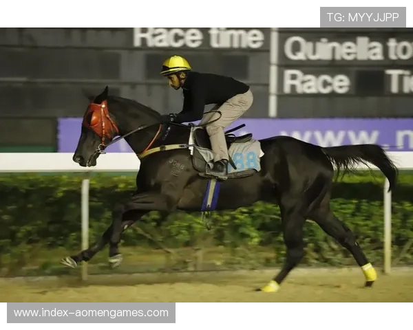 澳门赛马玩法最新动态:赛季变化与投注趋势全面分析 澳门赛马玩法最新动态:赛季变化与投注趋势全面分析